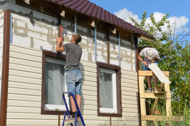 Best Insulated Siding Installation  in Vassar, MI